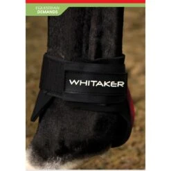 Skipton Tendon And Fetlock Boots -Weatherbeeta Sales Store kdfca1547fba56fae0c59a72d307a5d1c