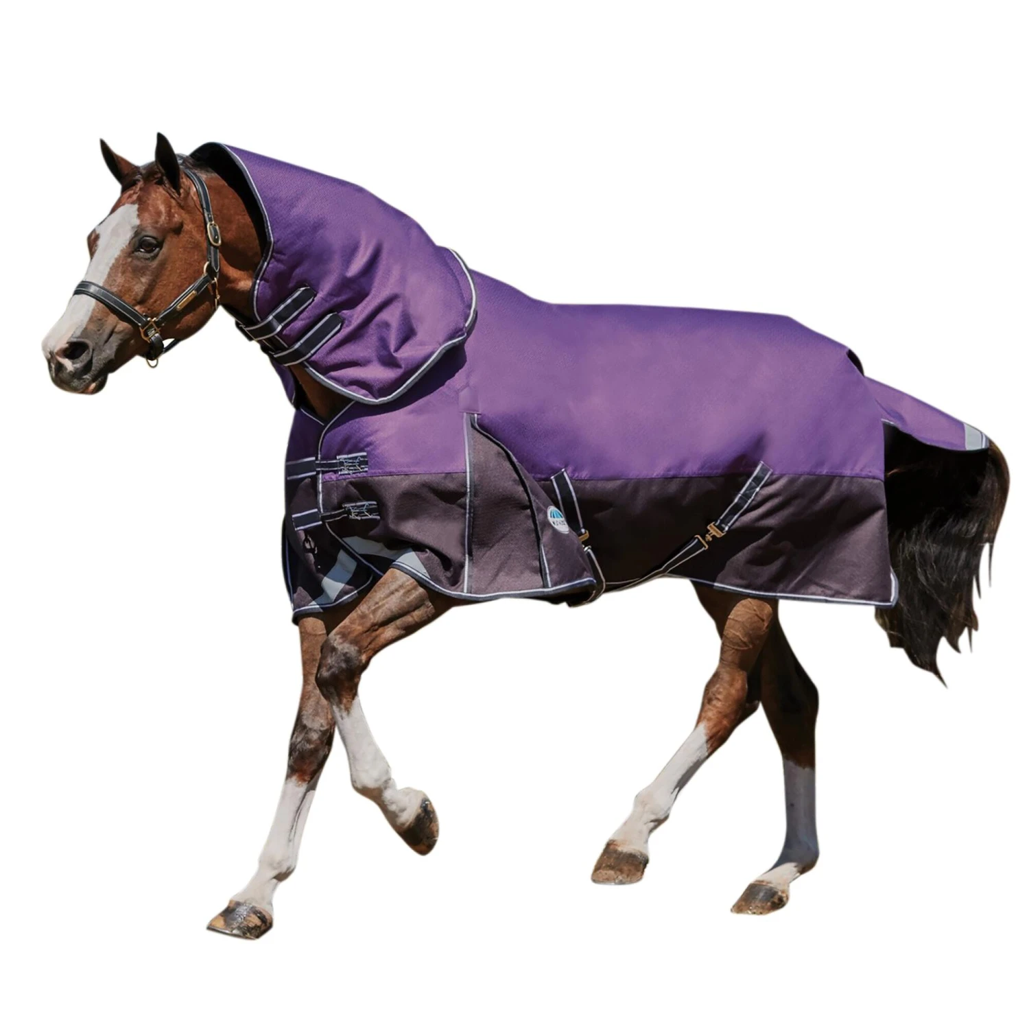Weatherbeeta Comfitec Lite Plus Dynamic DetachANeck Turnout Rug (Purple/Black) 1 Weatherbeeta Comfitec Lite Plus Dynamic DetachANeck Turnout Rug (Purple/Black)