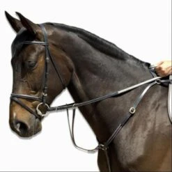 Schooling Horse Riding Hunting Martingale For Horse 11 Schooling Horse Riding Hunting Martingale For Horse -Weatherbeeta Sales Store ke7465c538c3855dc71c338ea994d0f2c