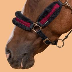 Horse Halter Comfort -Weatherbeeta Sales Store ke959e6df3570057e4dcc66d16b68374a