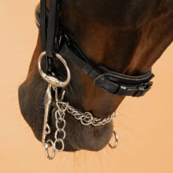Horse & Pony Dressage Double Bridle 900 -Weatherbeeta Sales Store kea6017019b20af31f963b3bb5caccf6b