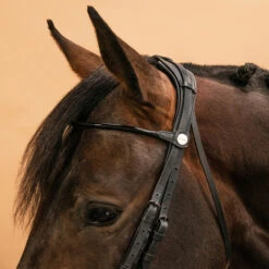 Horse & Pony Dressage Double Bridle 900 -Weatherbeeta Sales Store kea6b7f7557744f4bf4006f398e141884