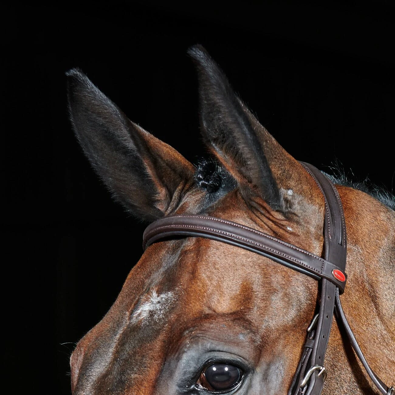 Ready To Ride Flash Bridle 10 Ready To Ride Flash Bridle - Image 10