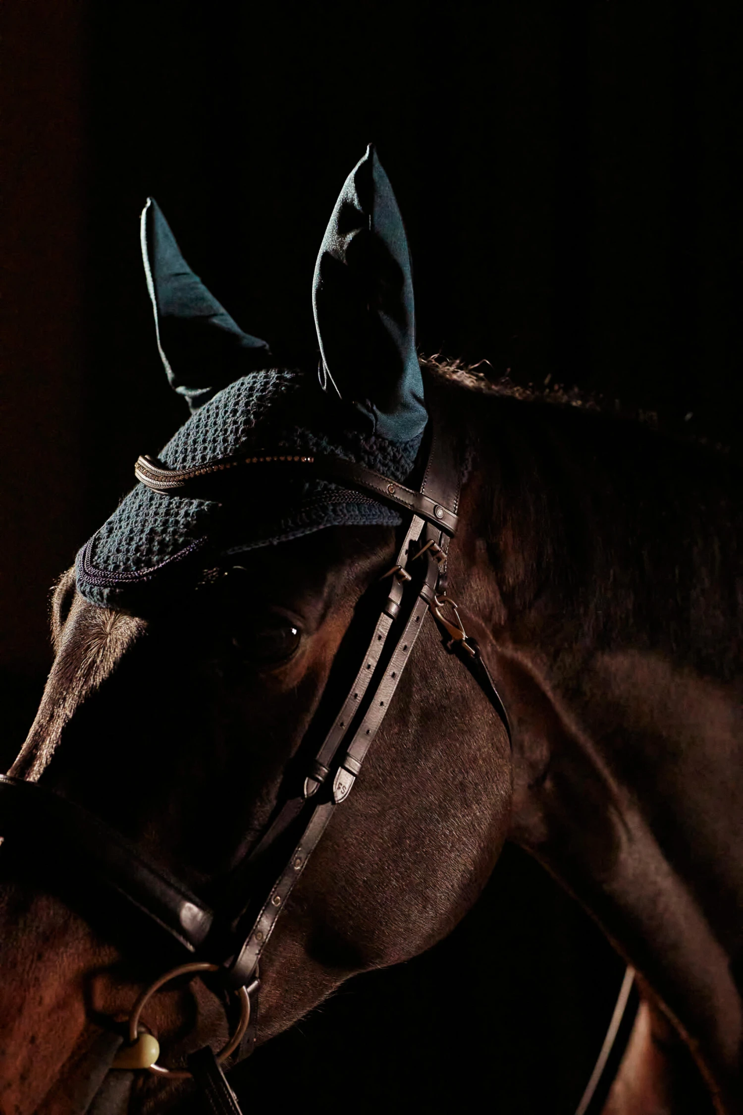 Horse Ear Net 5 Horse Ear Net - Image 5