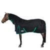 Weatherbeeta Comfitec Classic Standard Neck Medium Turnout Rug (Black/Green)