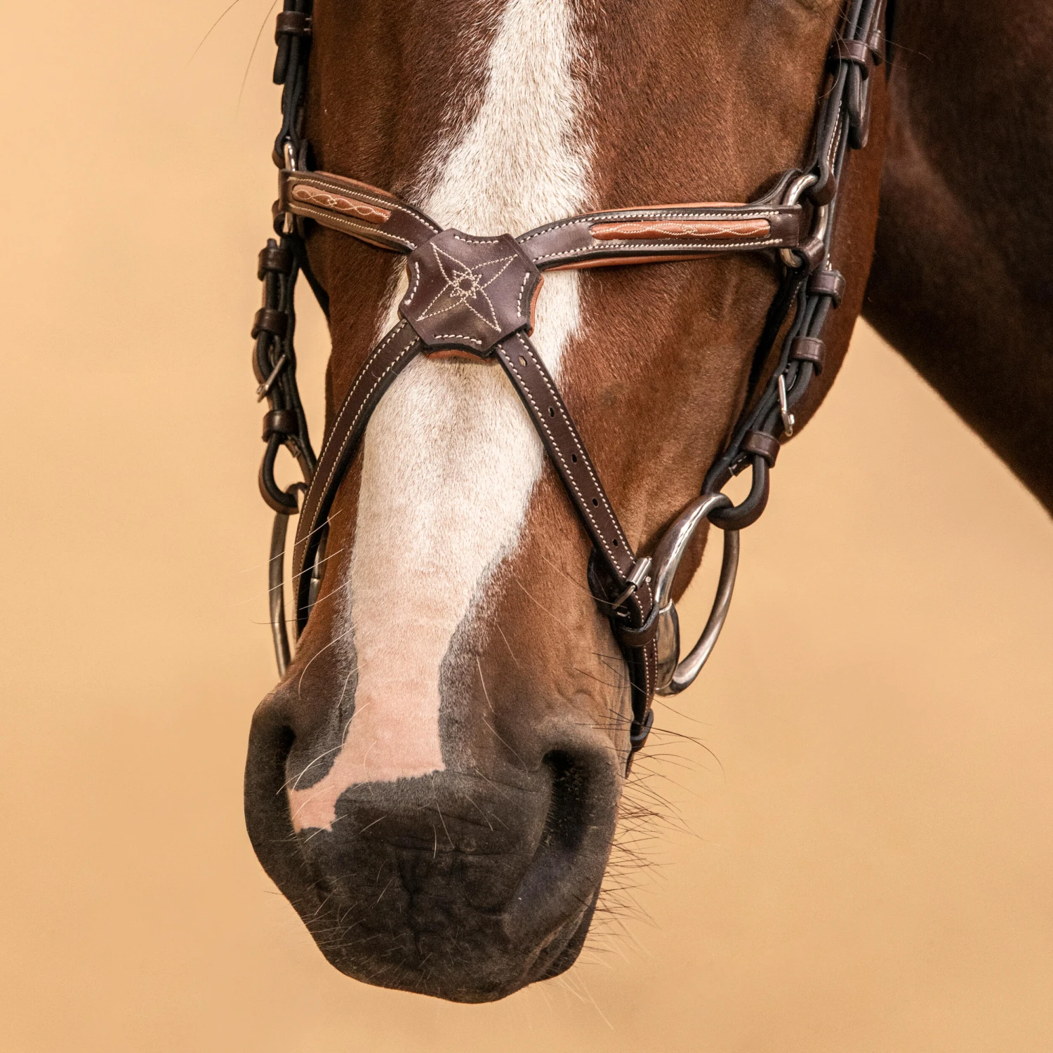 Horse Riding Crossed-Noseband Leather Bridle For Horse And Pony 580 15 Horse Riding Crossed-Noseband Leather Bridle For Horse And Pony 580 - Image 15