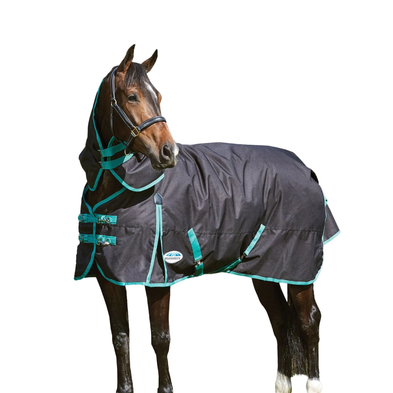 Weatherbeeta GreenTec Detachable Neck Midweight Horse Turnout Rug (Black/Bottle Green) 1 Weatherbeeta GreenTec Detachable Neck Midweight Horse Turnout Rug (Black/Bottle Green)
