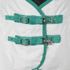 Weatherbeeta GreenTec Lite Plus StandardNeck Horse Turnout Rug (Light Grey/Bottle Green) 6 Weatherbeeta GreenTec Lite Plus StandardNeck Horse Turnout Rug (Light Grey/Bottle Green) -Weatherbeeta Sales Store kf90d3df91bb2fdd615057dca802e18a1